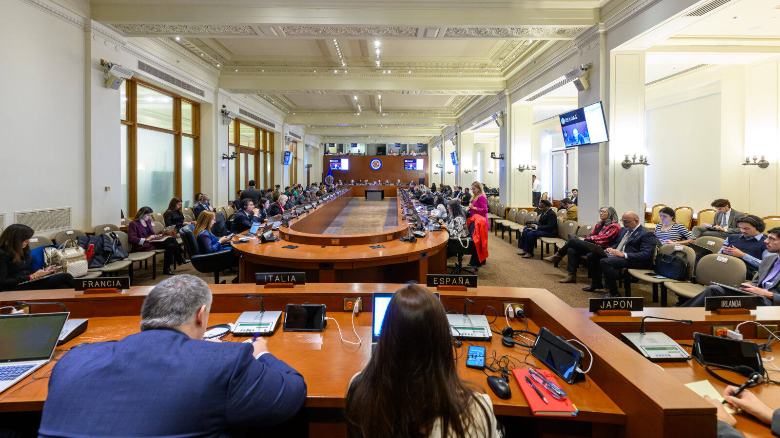 OEA respalda la democracia y rechaza intentos de golpistas - Noticias ...