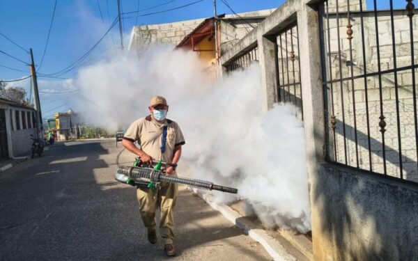 Salud intensifica control de mosquito transmisor