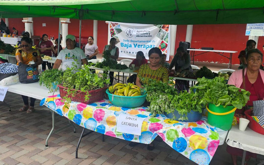 Vecinos de San Jerónimo, Baja Verapaz, acceden a productos frescos y baratos en la Feria del Agricultor