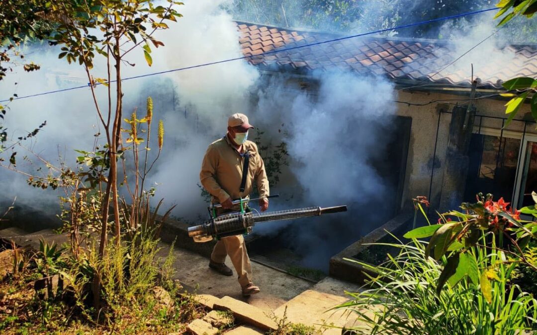 Acciones integrales protegen a familias de Santa Rosa frente al dengue