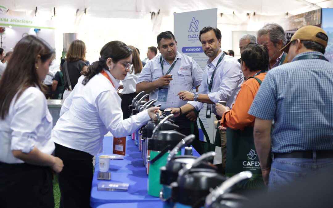 El reto del café guatemalteco es posicionarse en la mente