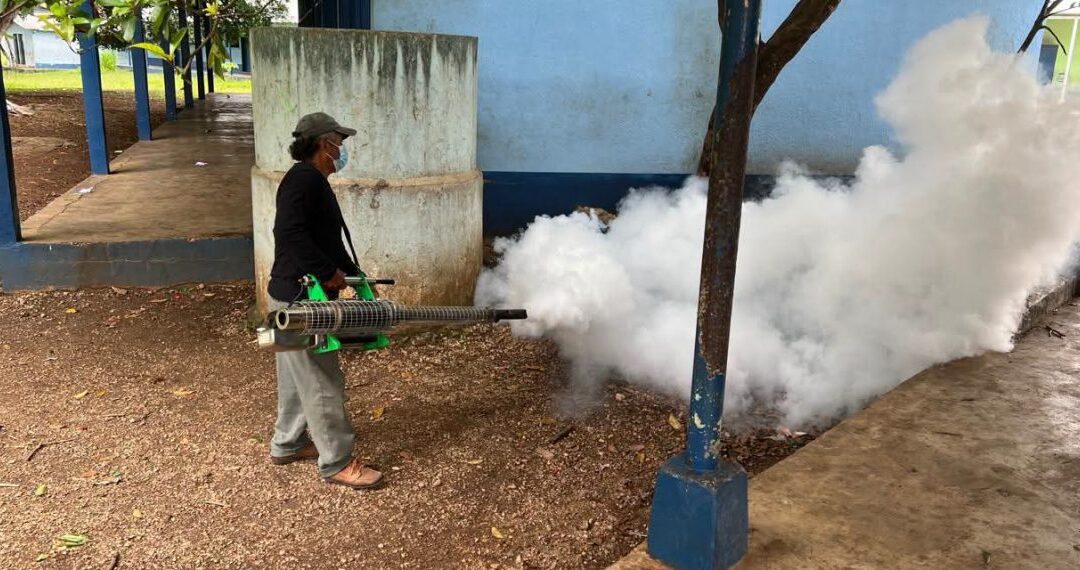 Salud intensifica acciones contra dengue en San Luis