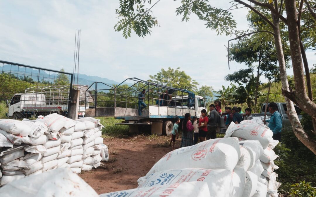 Mano a Mano entrega cemento a 5 mil familias de Panzós