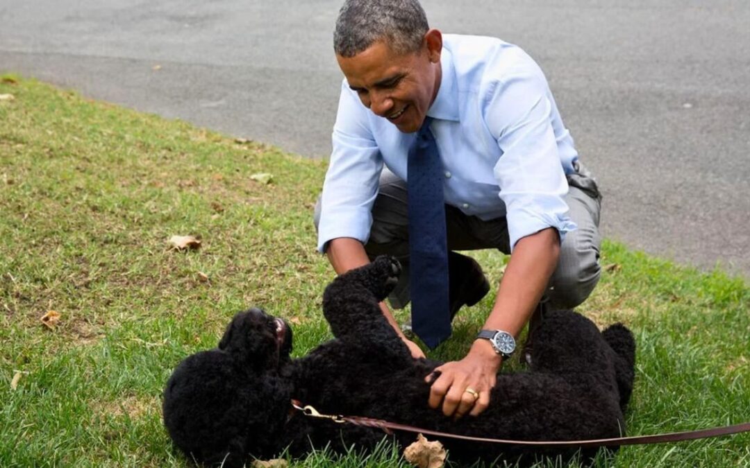 Obama anuncia la muerte de su perra Sunny, la mascota que acompañó 13 años a la familia