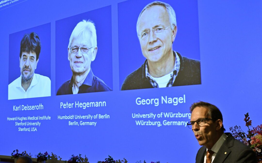 Nobel premia a la optogenética