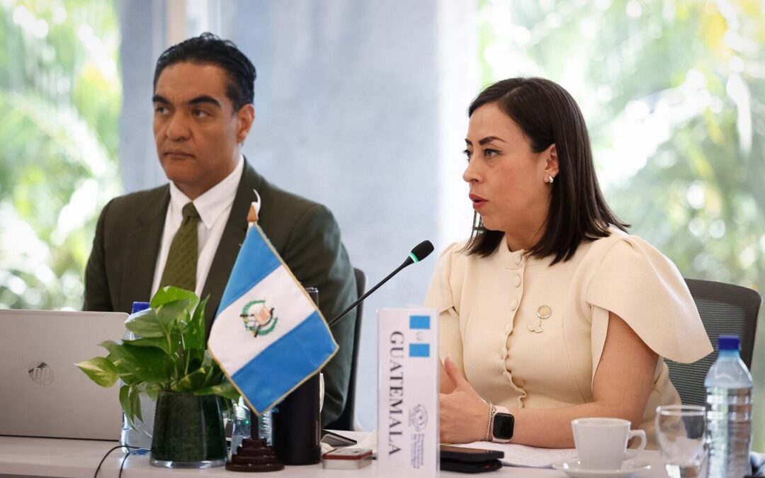 Comieco actualiza el Cauca