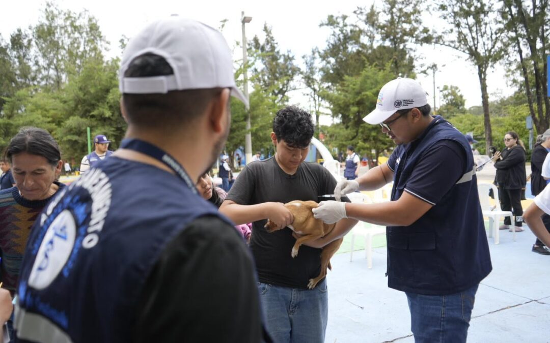 Arranca la Jornada de Vacunación Antirrábica Canina bajo el lema “Eliminemos Juntos la Rabia”