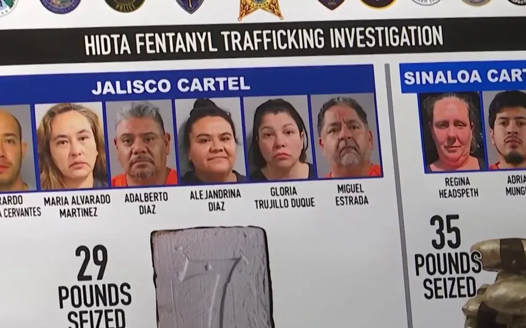 Arrestan en Florida a 10 presuntos miembros del Cartel de Sinaloa por narcotráfico