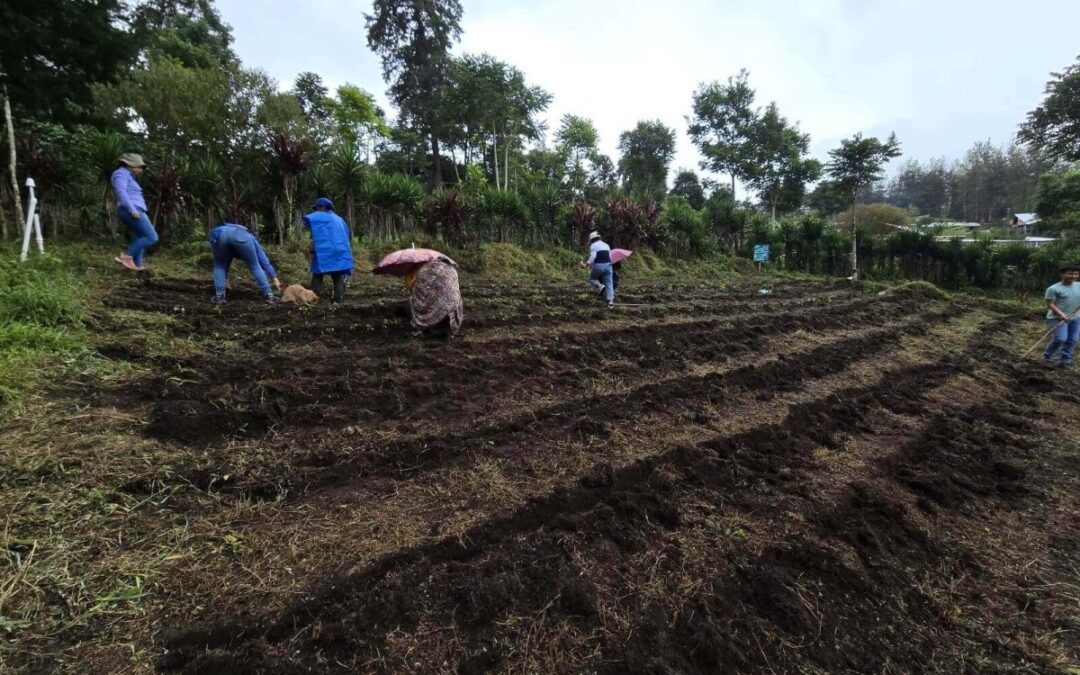 Maga emite recomendaciones a productores por alta humedad de suelos