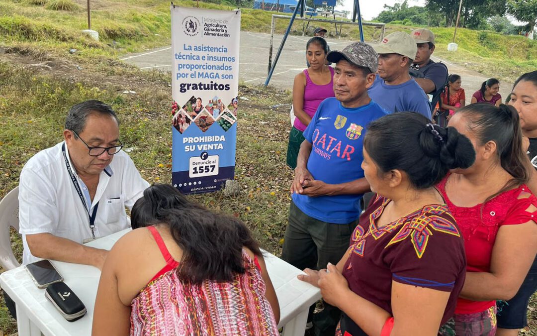 Familias rurales reciben semillas certificadas de maíz y ayote para fortalecer su producción